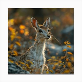 Cute Deer 1 Canvas Print