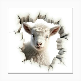 Lamb In A Hole Canvas Print