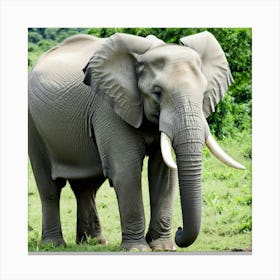 Elephant In The Wild Canvas Print