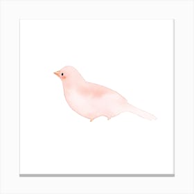 Blushing Bird Blush Square Canvas Print