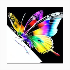 Rainbow Butterflies 3 Canvas Print