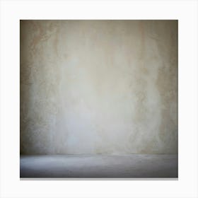 Empty Room 3 Canvas Print