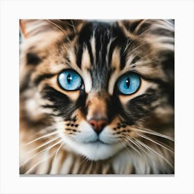 Portrait Of A Cat With Blue Eyes Canvas Print