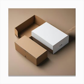 Cardboard Box Canvas Print