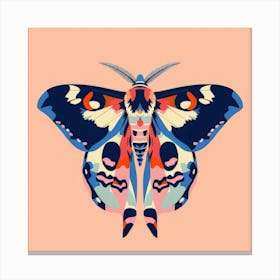 Moth illustration 8 Canvas Print