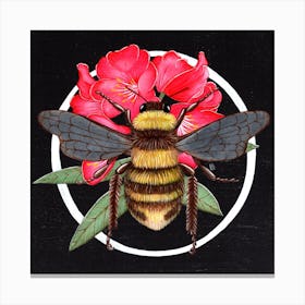 Rhododendron Bee Square Canvas Print