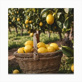 Basket Of Lemons Canvas Print