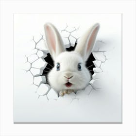 Rabbit Peeking Through A Hole 10 Canvas Print