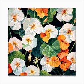 Nasturtium 6 Canvas Print