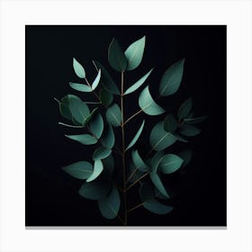 Eucalyptus Leaves On Black Background 1 Canvas Print