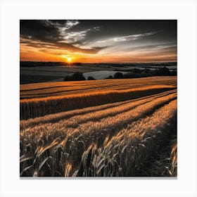 Sunset Over A Wheat Field 14 Canvas Print