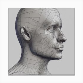 3d Model Of A Human Head 2 Canvas Print