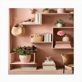 Pink Shelves 1 Canvas Print