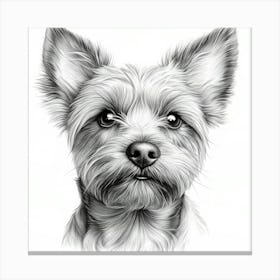 Yorkshire Terrier 2 Canvas Print