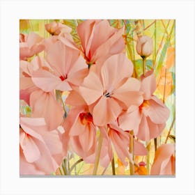 Pink Geraniums Canvas Print