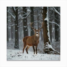 Deer In Winter Forest Canvas Print