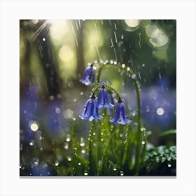 Spring Rain in the Bluebell Wood Canvas Print