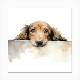 Dachshund Dog 2 Canvas Print