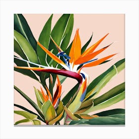 Bird Of Paradise Canvas Print Canvas Print