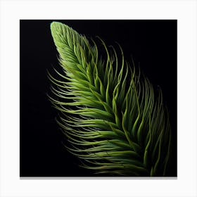 A verdant frond unfurls its delicate form against a backdrop of infinite darkness, a testament to the resilience of life in the face of the unknown. Canvas Print