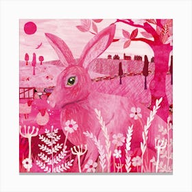 Pink Hare Canvas Print