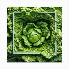 Green Cabbage In A Square Frame Canvas Print