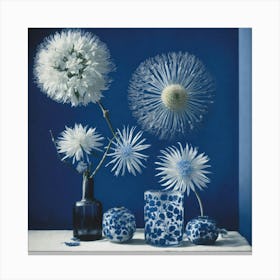 A Mondern Art Photography In Style Anna Atkins (1) Canvas Print