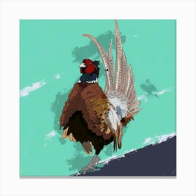 Strutting Pheasant Canvas Print