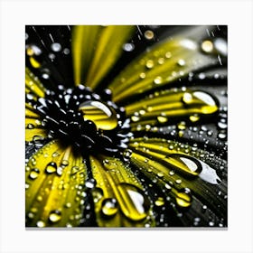 Drops of water on yellow flower Canvas Print