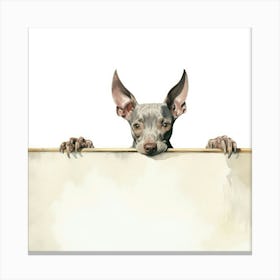 Chihuahua 7 Canvas Print