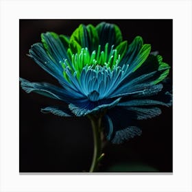 Blue Carnation Flower Canvas Print