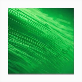 Abstract Green Background 7 Canvas Print