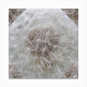 Dandelion Heart - Octahedron - Mosaik Nature Herb Pattern #1 Canvas Print