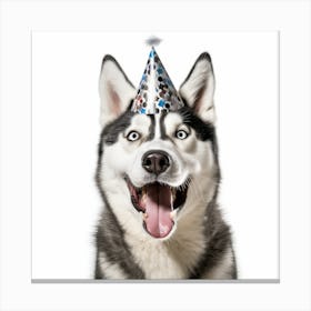 Husky In Party Hat Canvas Print