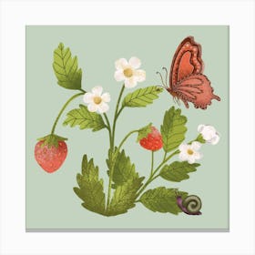 Sweet strawberry with butterfly Canvas Print