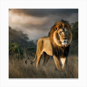 Lion In The Grass Canvas Print