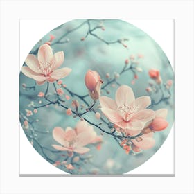 Pink Cherry Blossoms Canvas Print