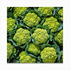 Cauliflower At The Market Canvas Print