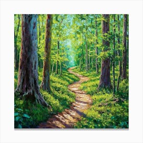 Path In The Woods Canvas Print