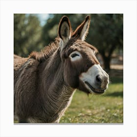 Donkey In The Field Canvas Print
