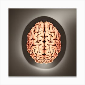 Brain Stock Videos & Royalty-Free Footage Canvas Print