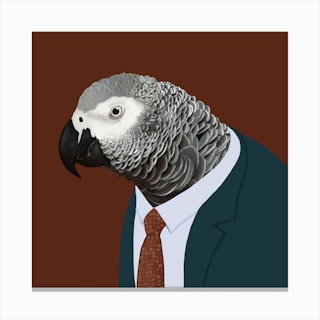 African Grey Parrot In Suit Square Canvas Print