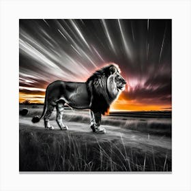Lion At Sunset 11 Canvas Print