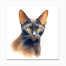 Bombay Chocolate Cat Portrait 3 Canvas Print