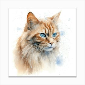 Carmel Snow Cat Portrait 1 Canvas Print