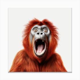 Orangutan 3 Canvas Print