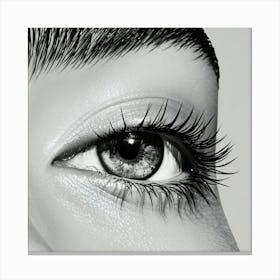 Close Up Of Woman'S Eye Canvas Print