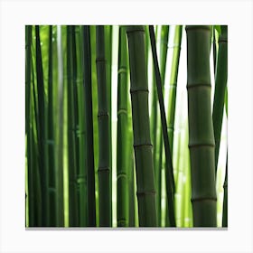 Bamboo Forest Canvas Print