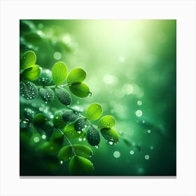 Raindrops on Leaves 1 Canvas Print