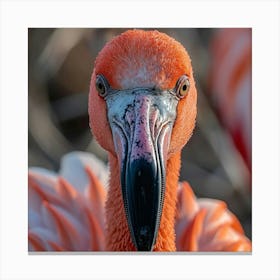 Flamingo 77 Canvas Print